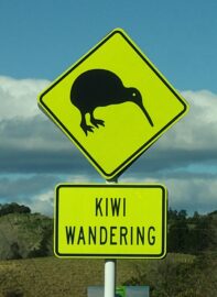 Podcast Episode 12. Searching for Kiwis, New Zealand