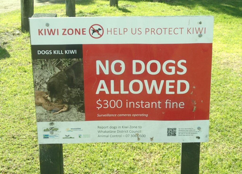 no dogs allowed sign New Zealand