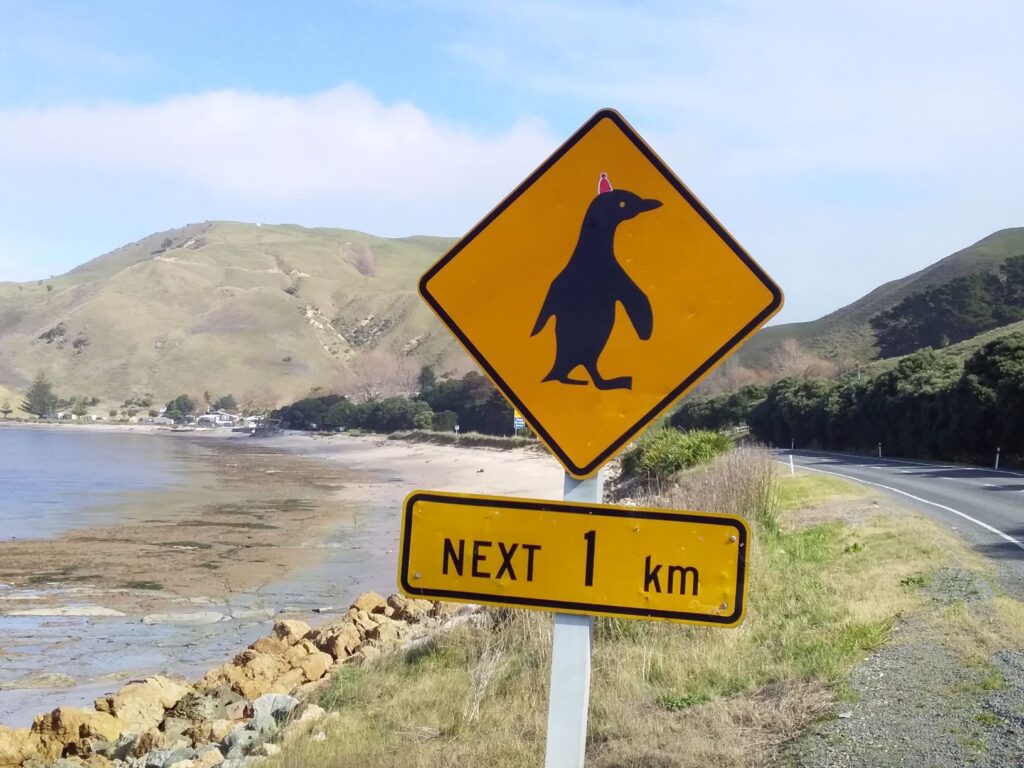 road hazards Gisborne New Zealand