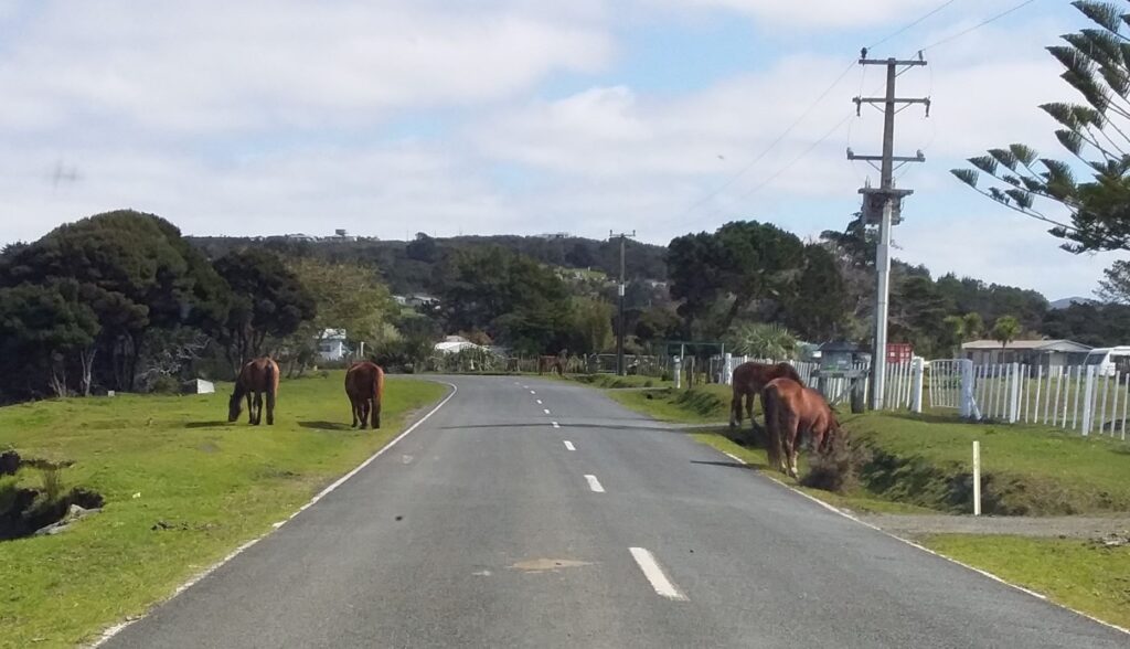 Driving around New Zealand