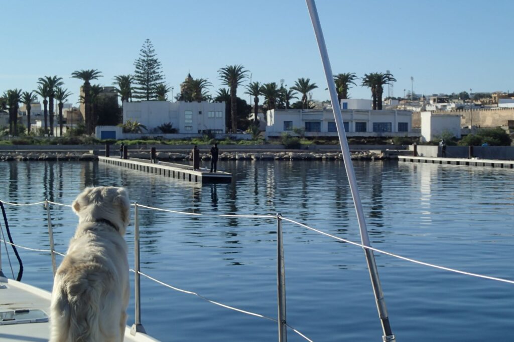 Arriving in Bizerte