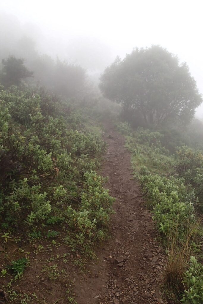 Walking track to Montemayor Castle