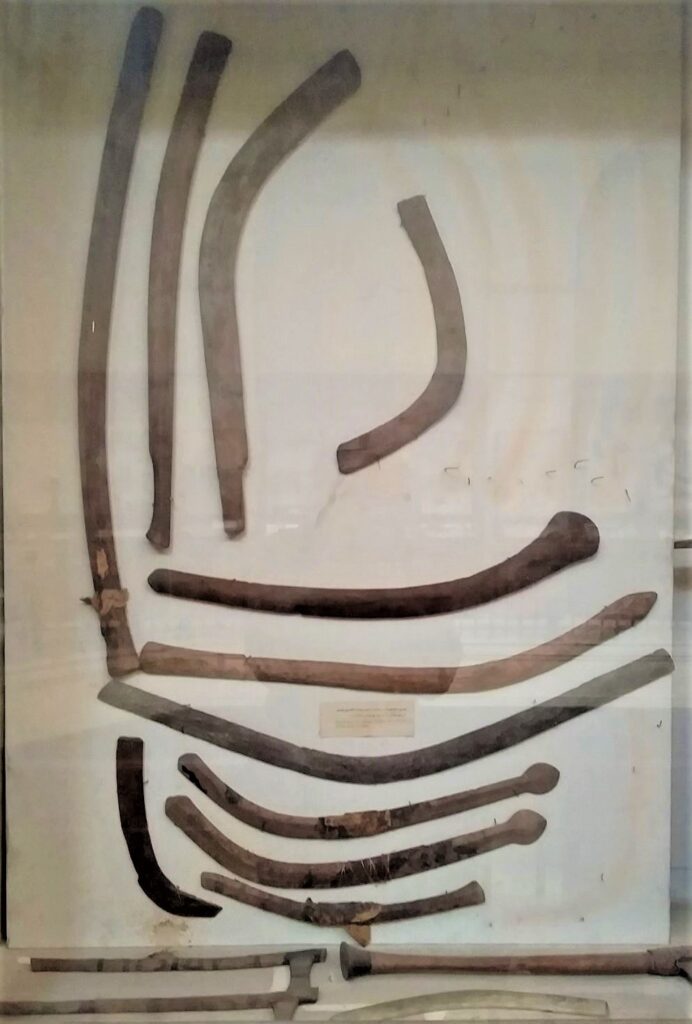 Egyptian boomerangs
