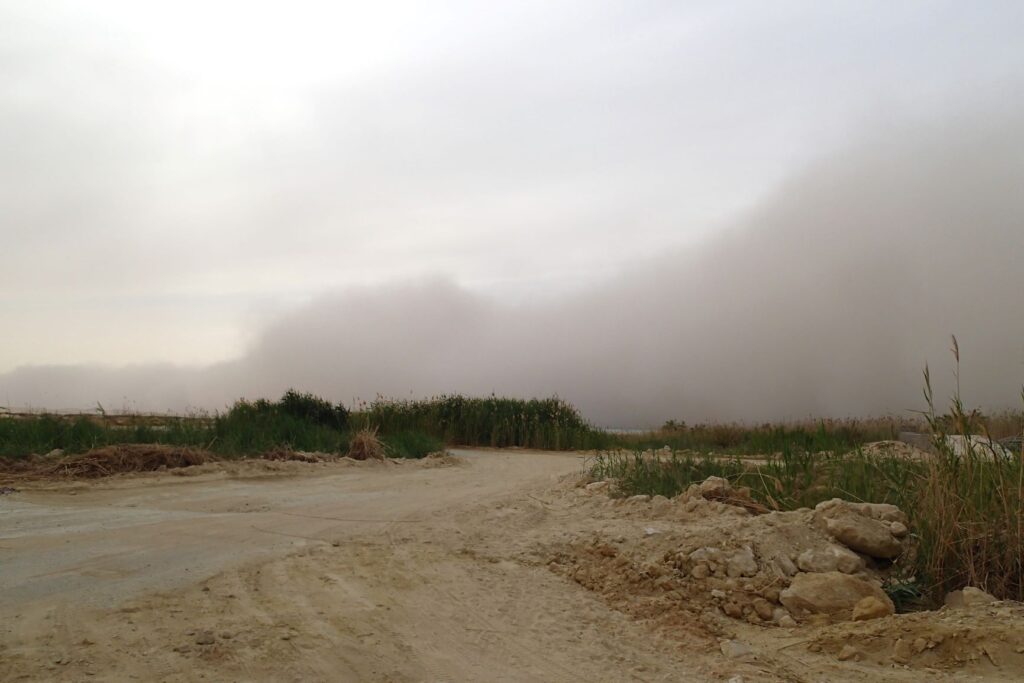 Sandstorm, Egypt