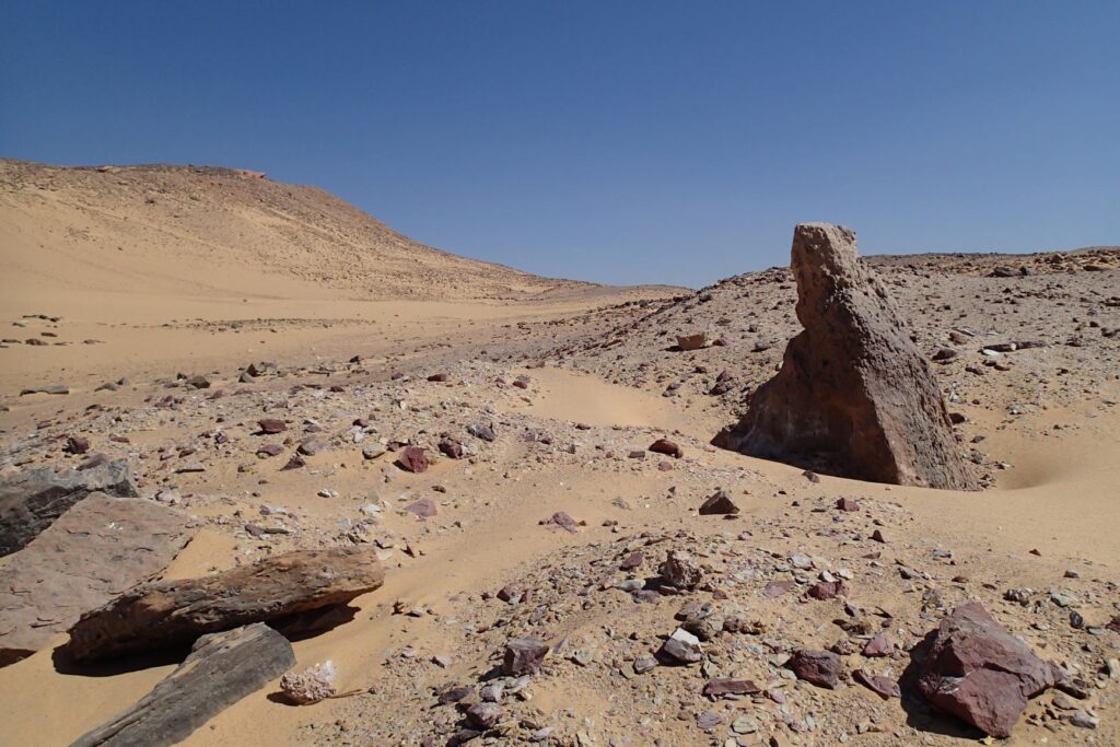 Egyptian desert