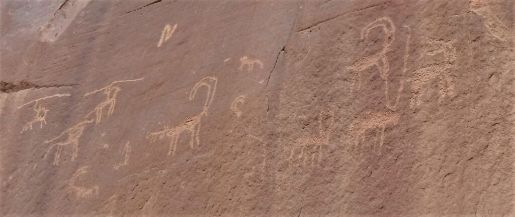 Rock art Wadi Rum