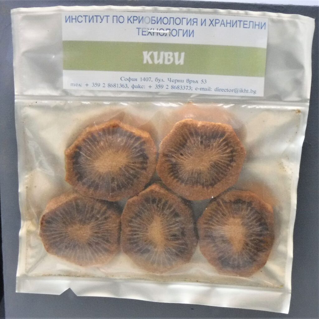 kiwi fruit Bulgarian spacefood