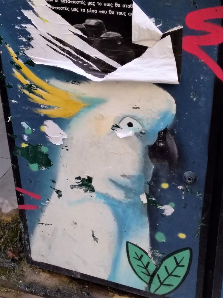 Cockatoo painting in Athens