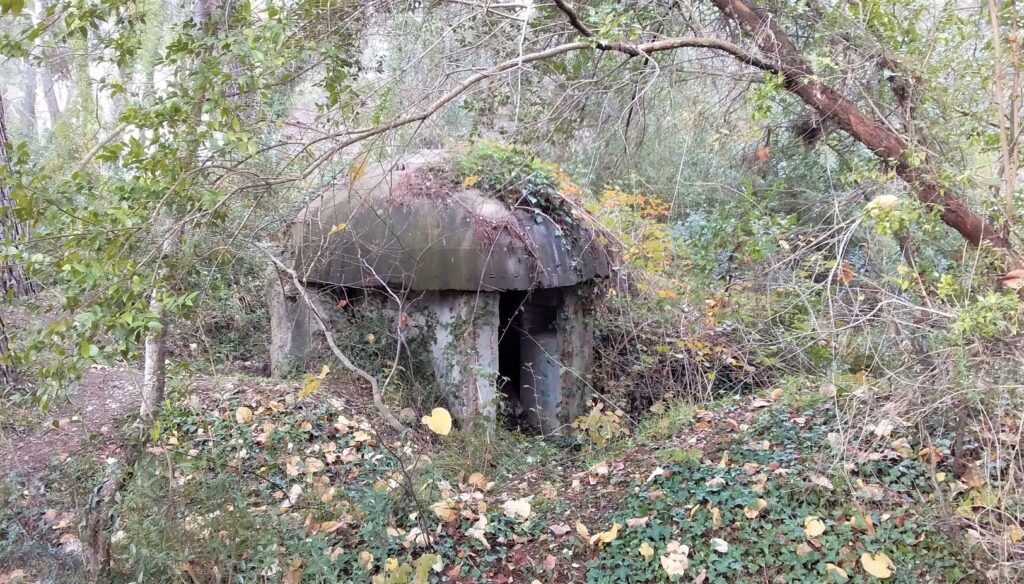 Albania's bunkers