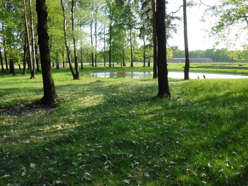 Auschwitz-Birkenau Concentration Camp trees