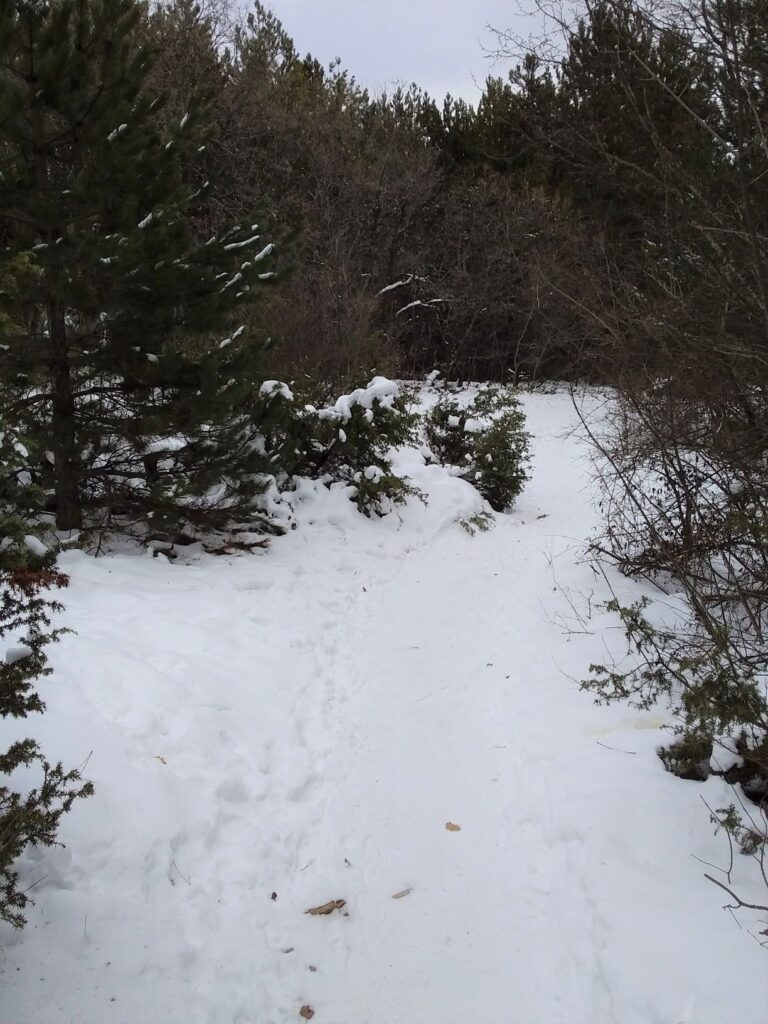 Walking track Mount Vodno