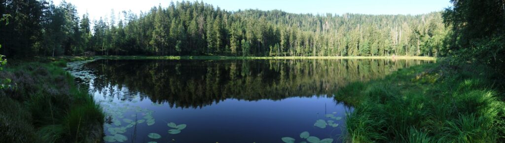 Schurm Lake a walk in the Black Forest