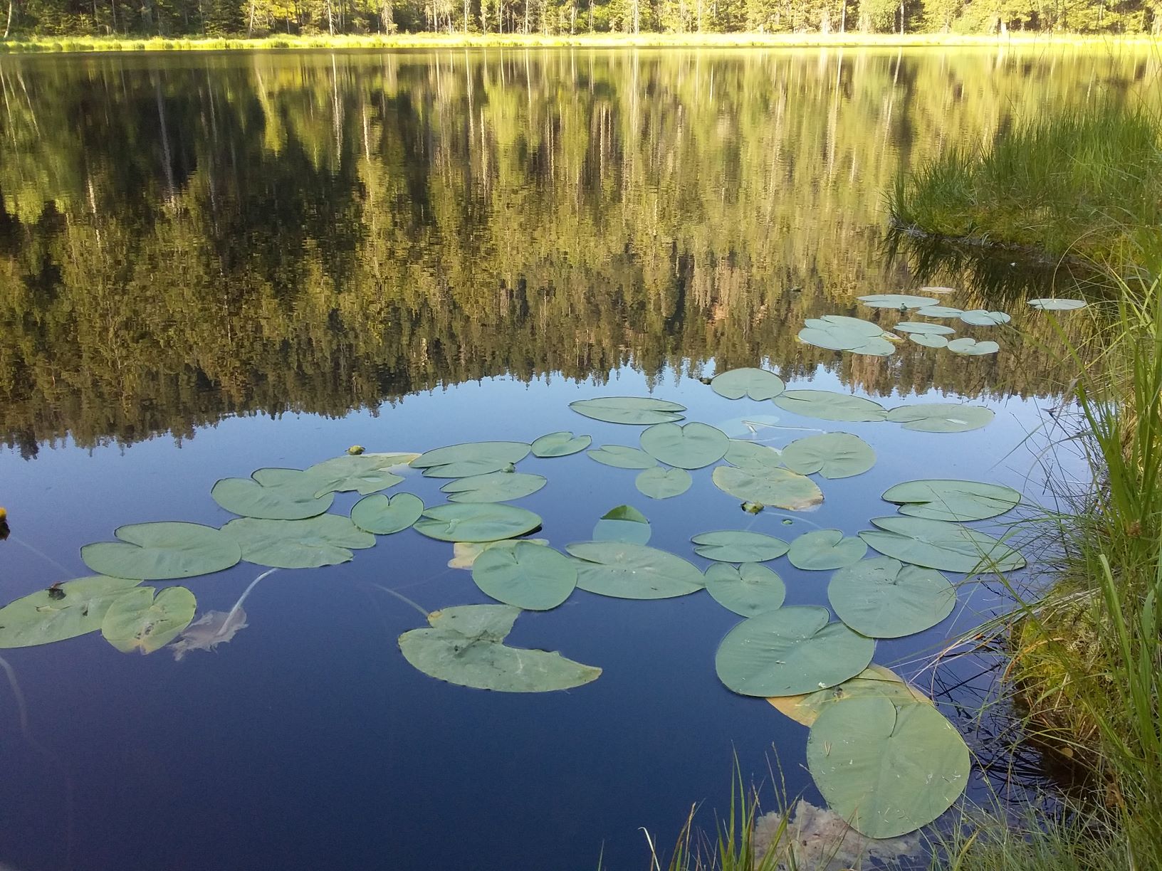  Schurm Lake A walk in the Black Forest Germany