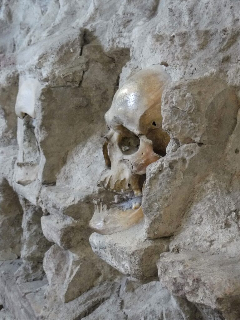 Human skull incorporated into a wall