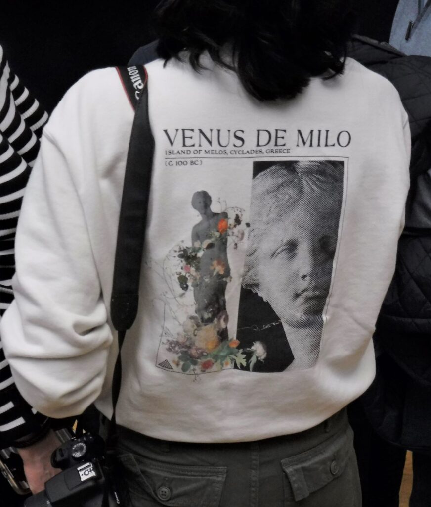 Venus de Milo sweatshirt