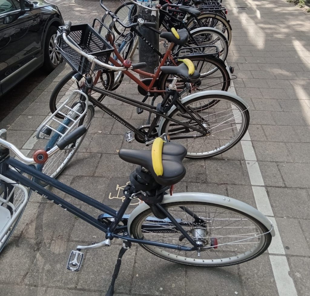 The Netherlands Bicycle