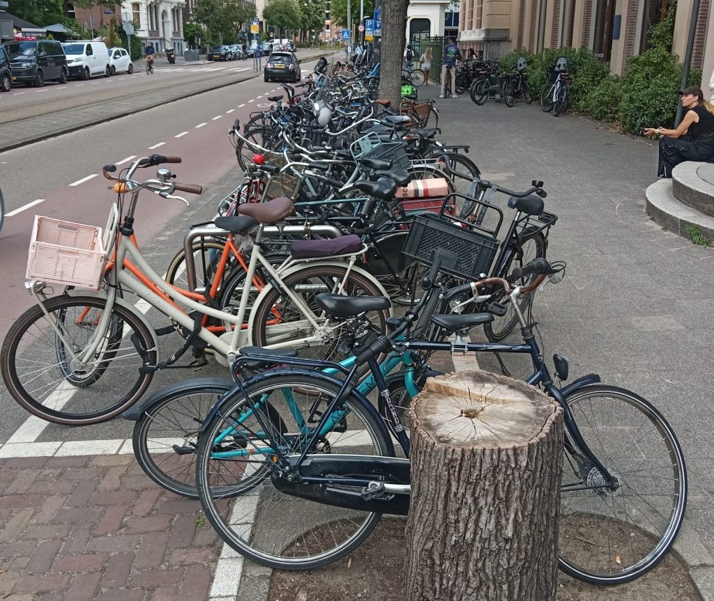 The Netherlands Bicycle