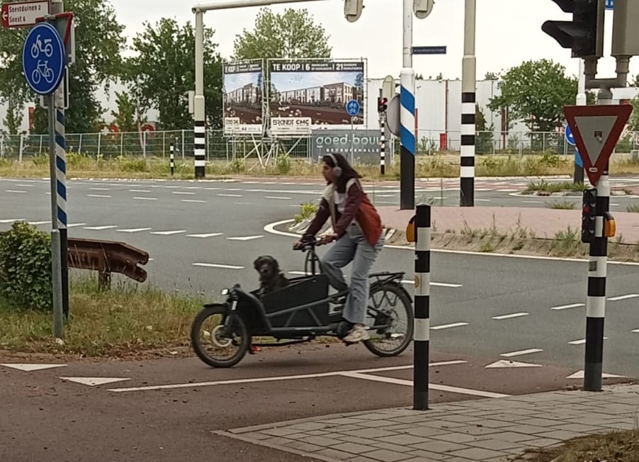 The Netherlands Bicycle